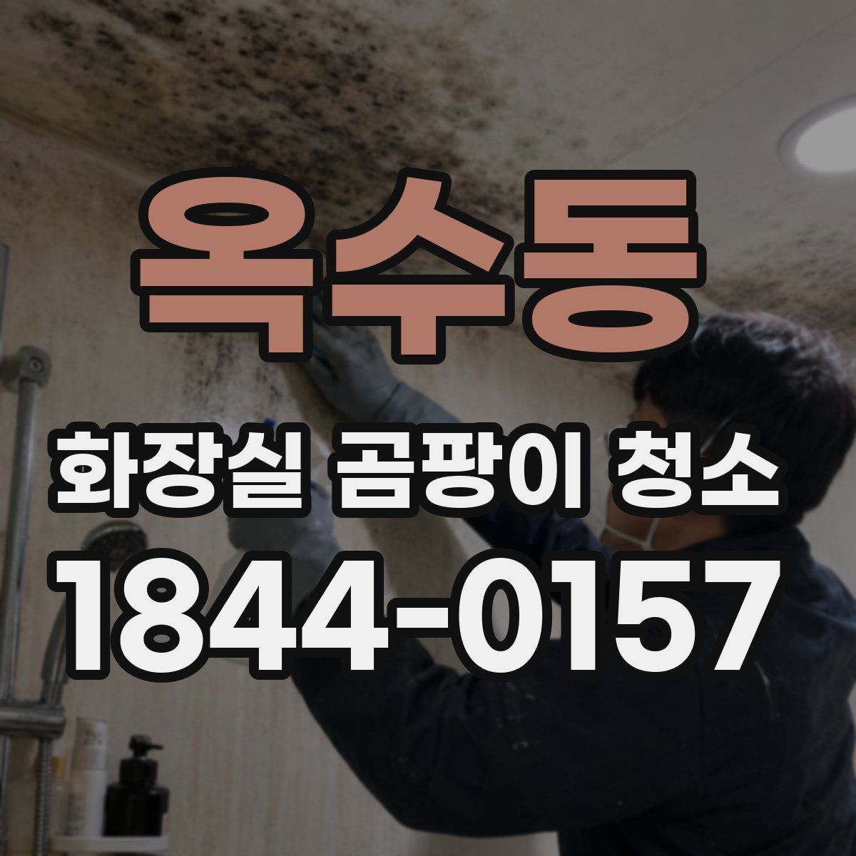 옥수동 화장실 곰팡이 청소