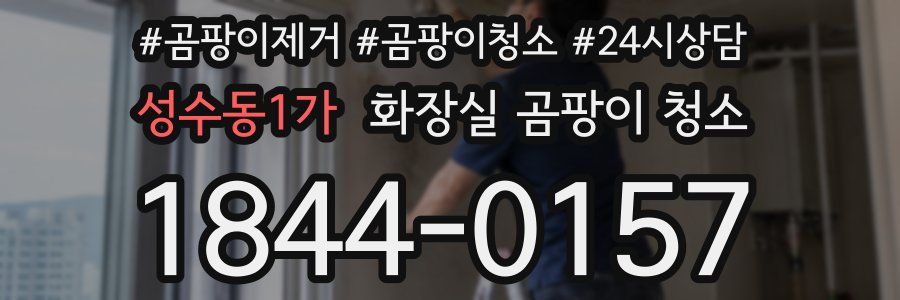 성수동1가 화장실 곰팡이 청소