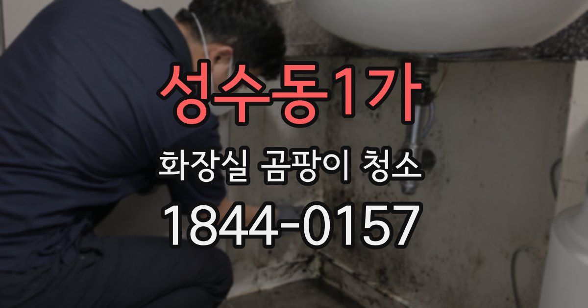 성수동1가 화장실 곰팡이 청소