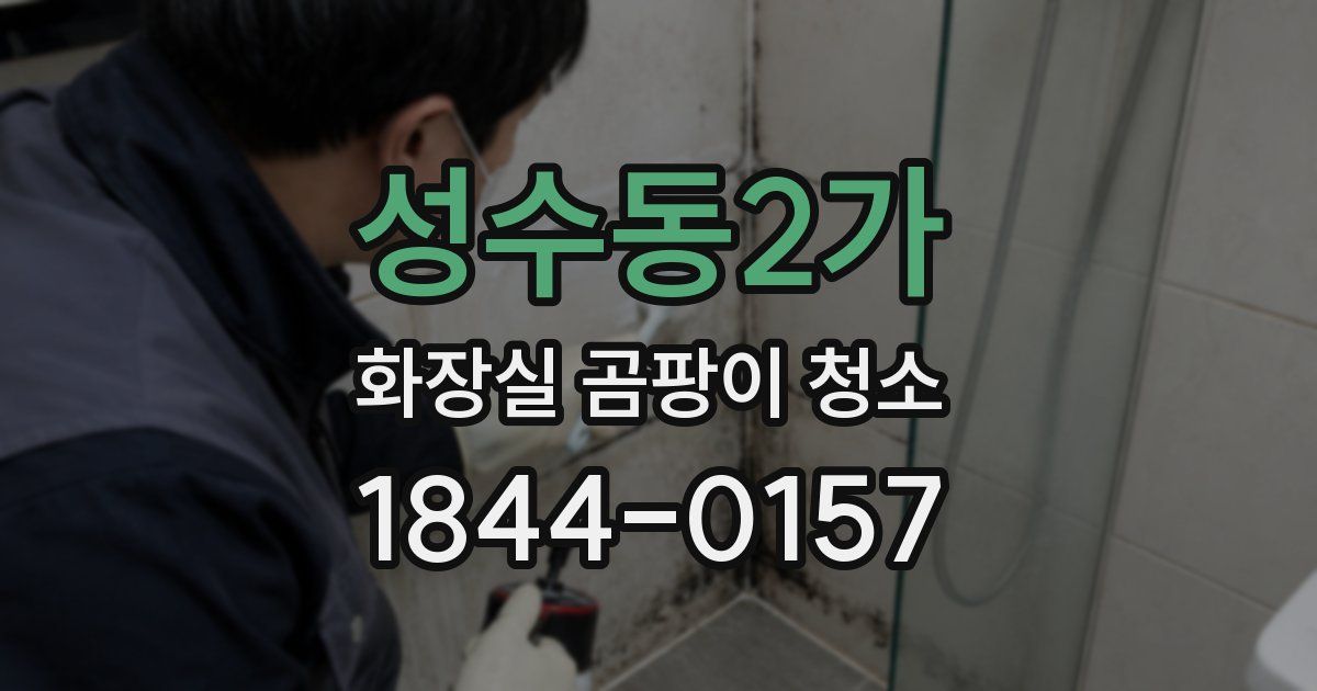 성수동2가 화장실 곰팡이 청소