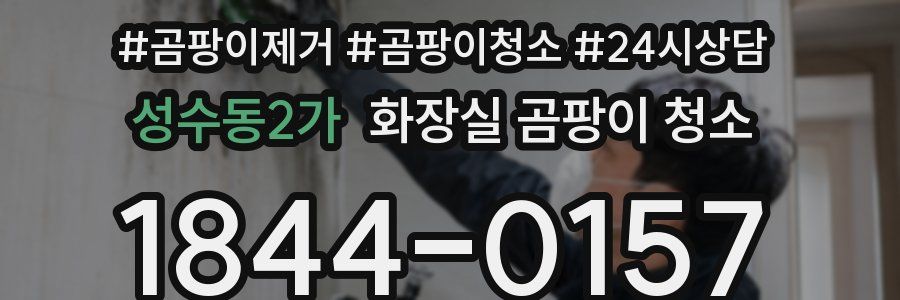 성수동2가 화장실 곰팡이 청소