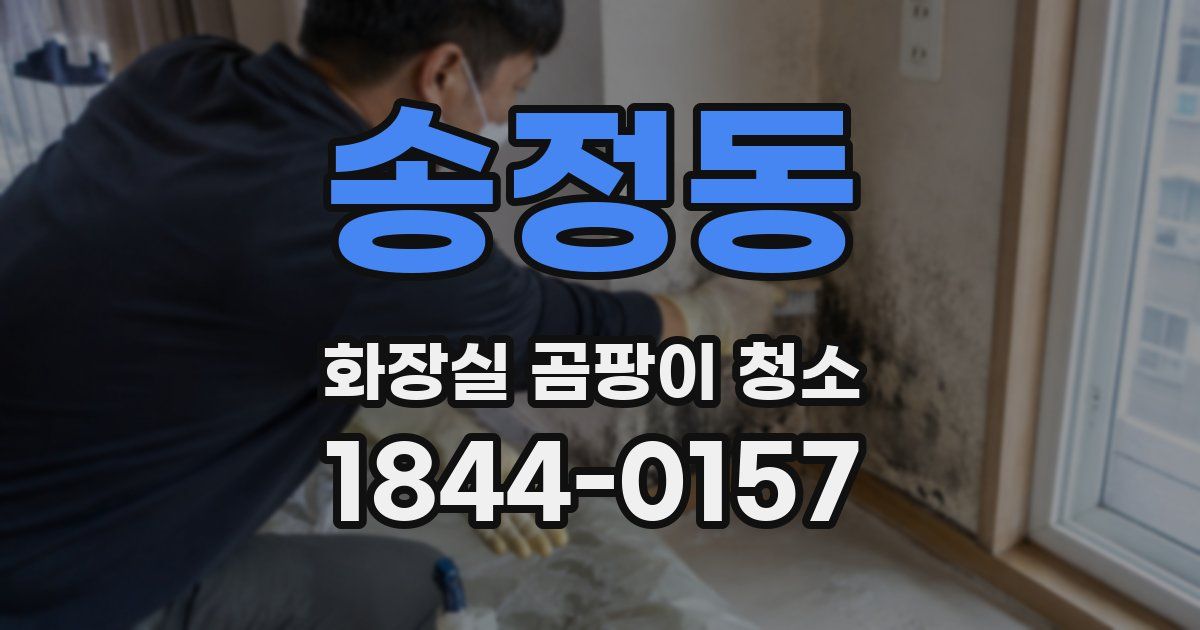 송정동 화장실 곰팡이 청소