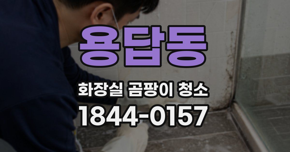 용답동 화장실 곰팡이 청소