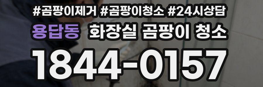 용답동 화장실 곰팡이 청소