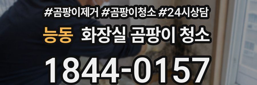 능동 화장실 곰팡이 청소
