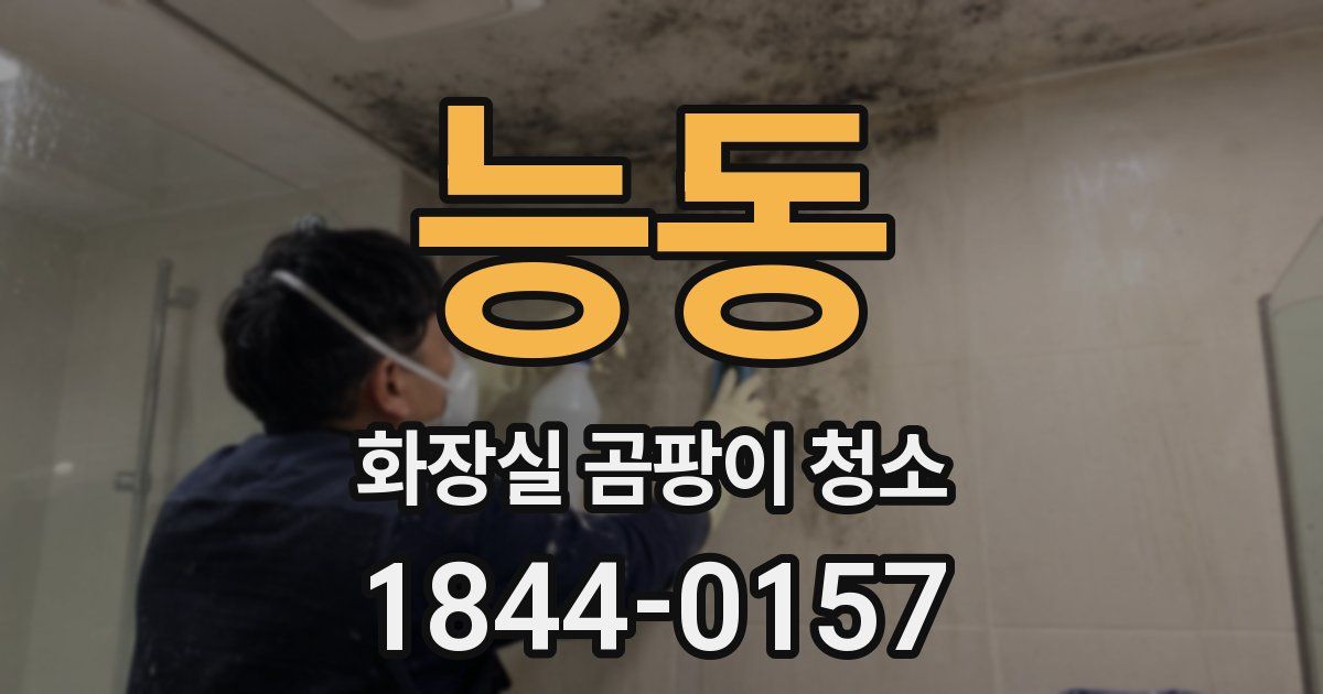 능동 화장실 곰팡이 청소