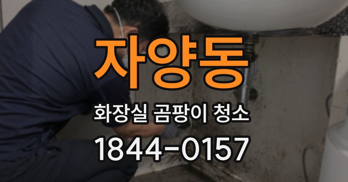 자양동 화장실 곰팡이 청소