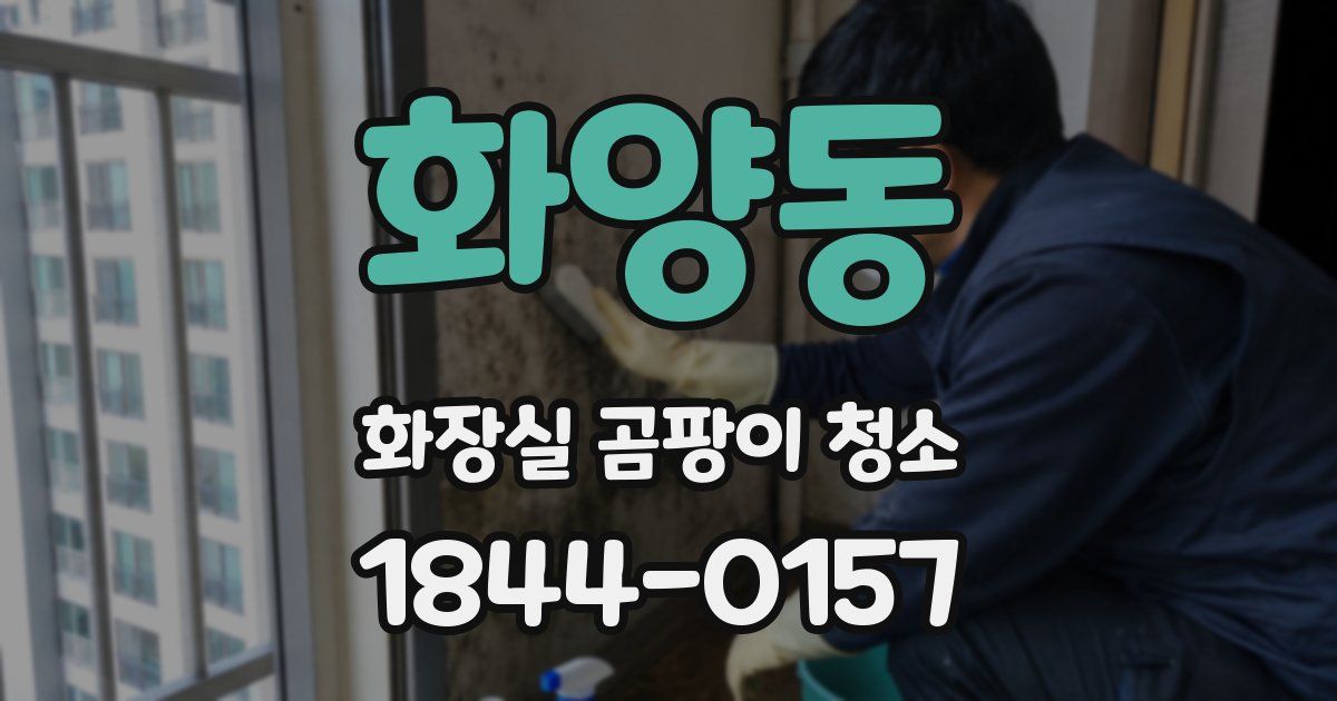 화양동 화장실 곰팡이 청소