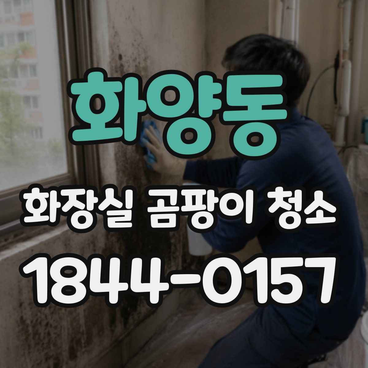 화양동 화장실 곰팡이 청소