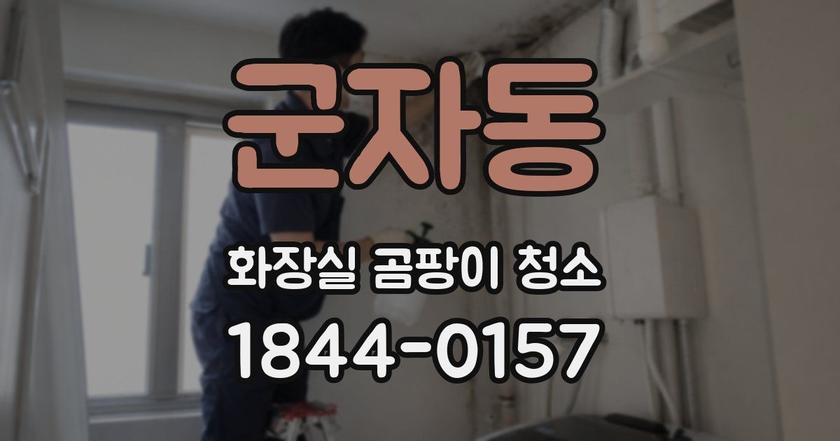 군자동 화장실 곰팡이 청소