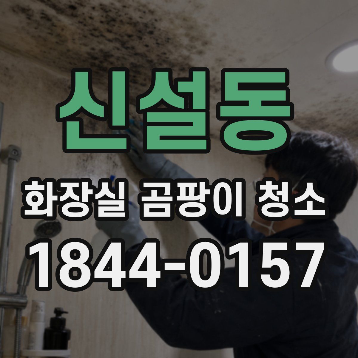 신설동 화장실 곰팡이 청소