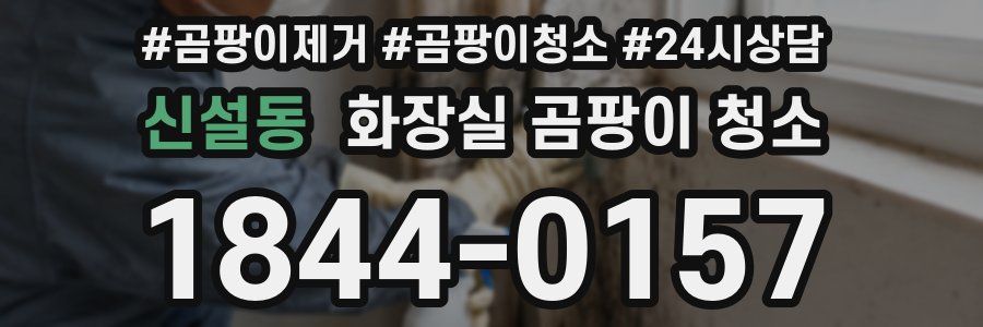 신설동 화장실 곰팡이 청소