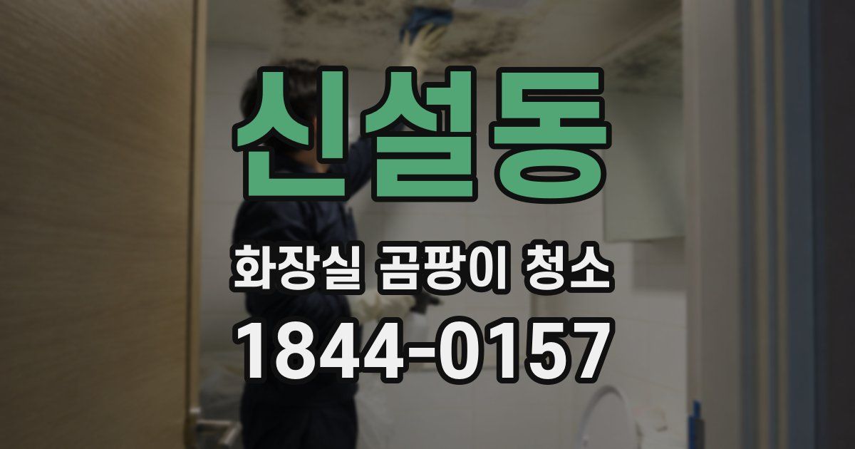 신설동 화장실 곰팡이 청소