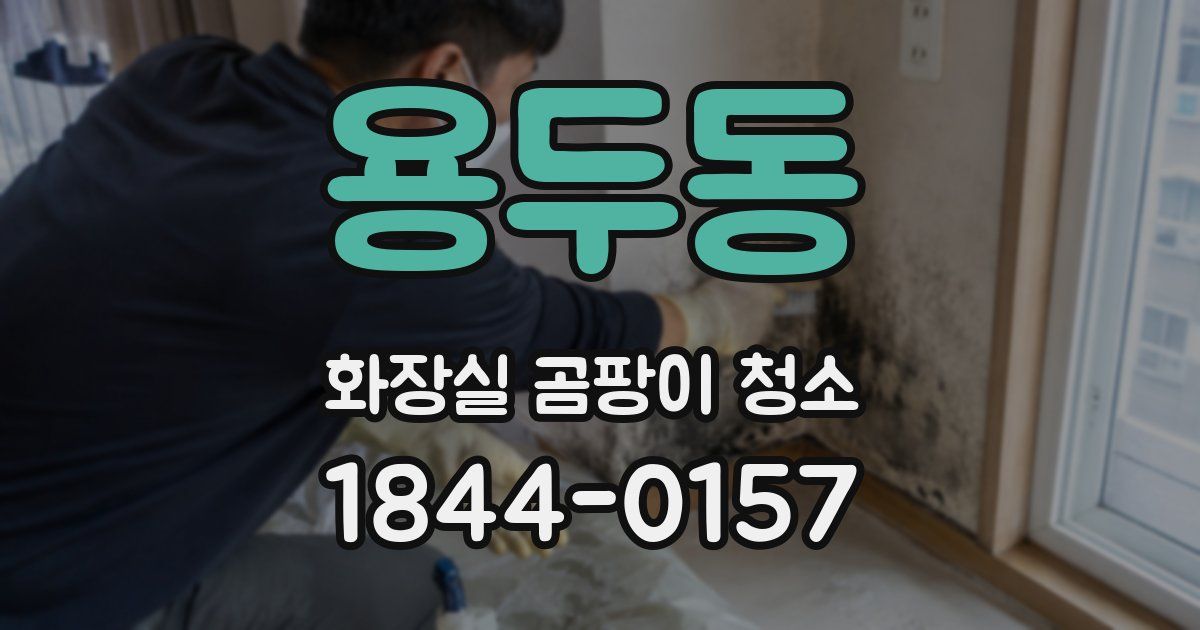 용두동 화장실 곰팡이 청소