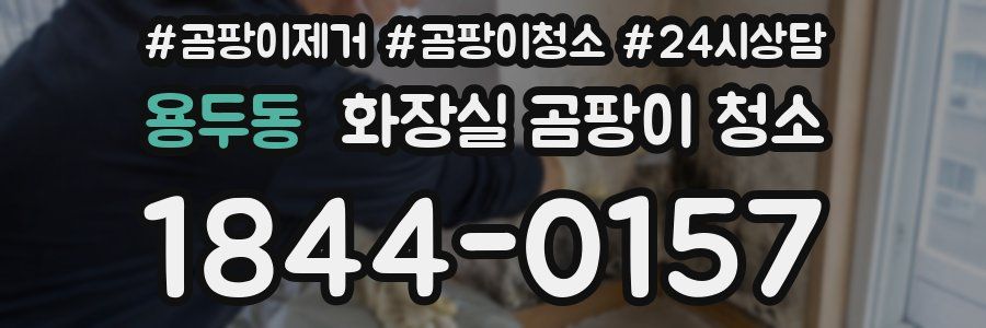 용두동 화장실 곰팡이 청소