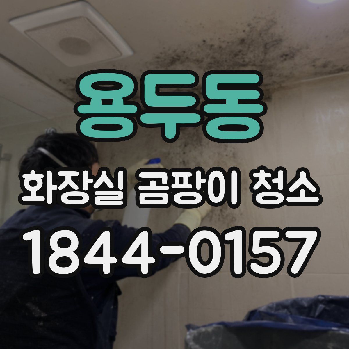용두동 화장실 곰팡이 청소