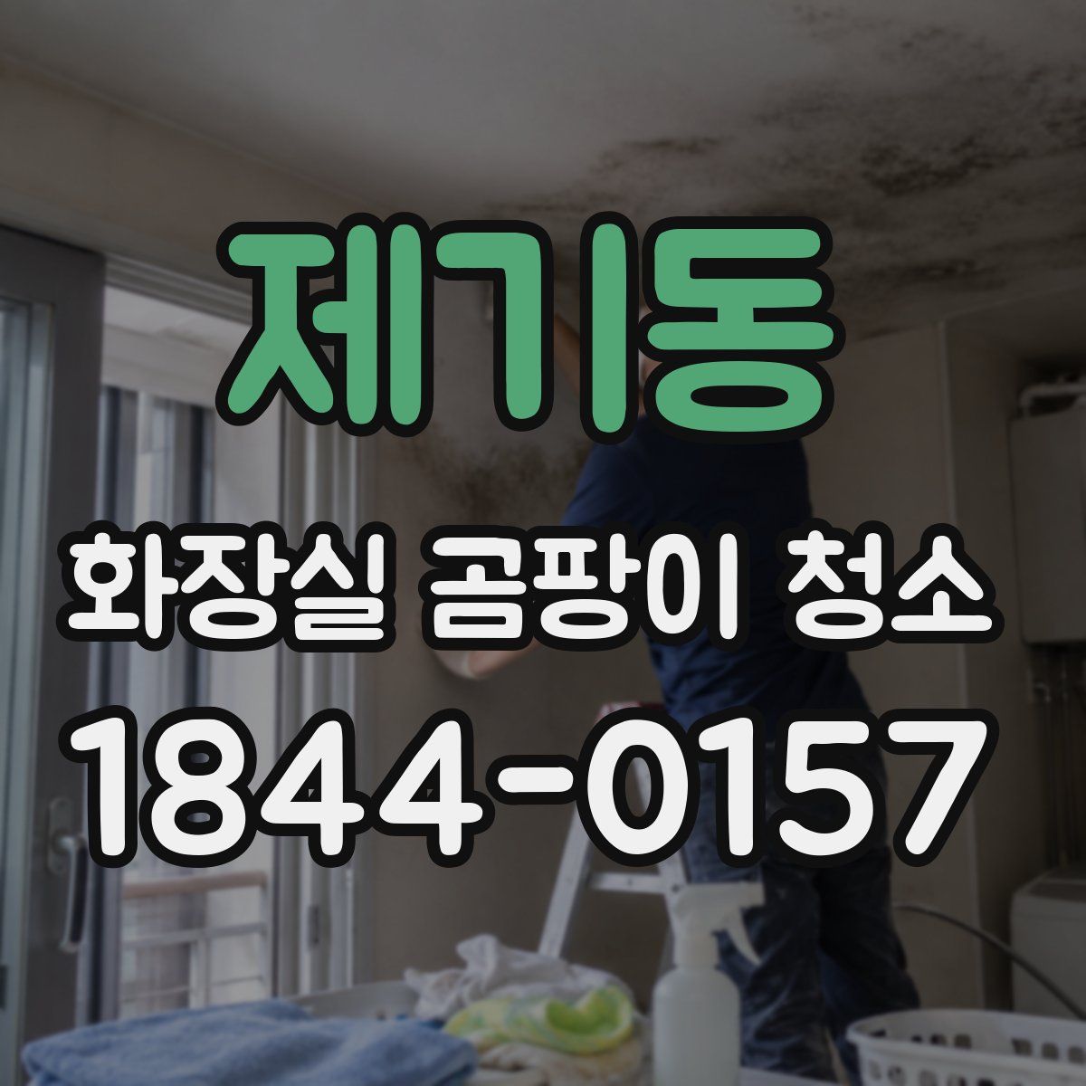 제기동 화장실 곰팡이 청소