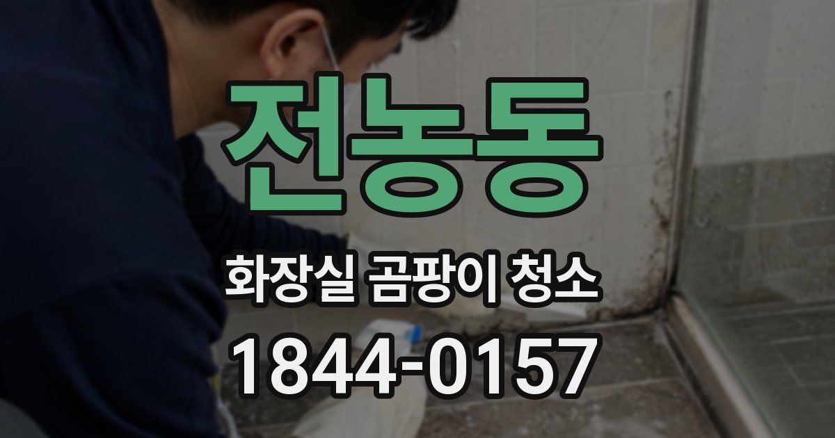 전농동 화장실 곰팡이 청소