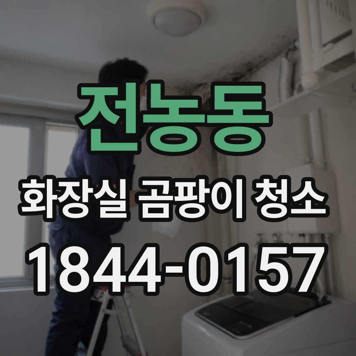 전농동 화장실 곰팡이 청소
