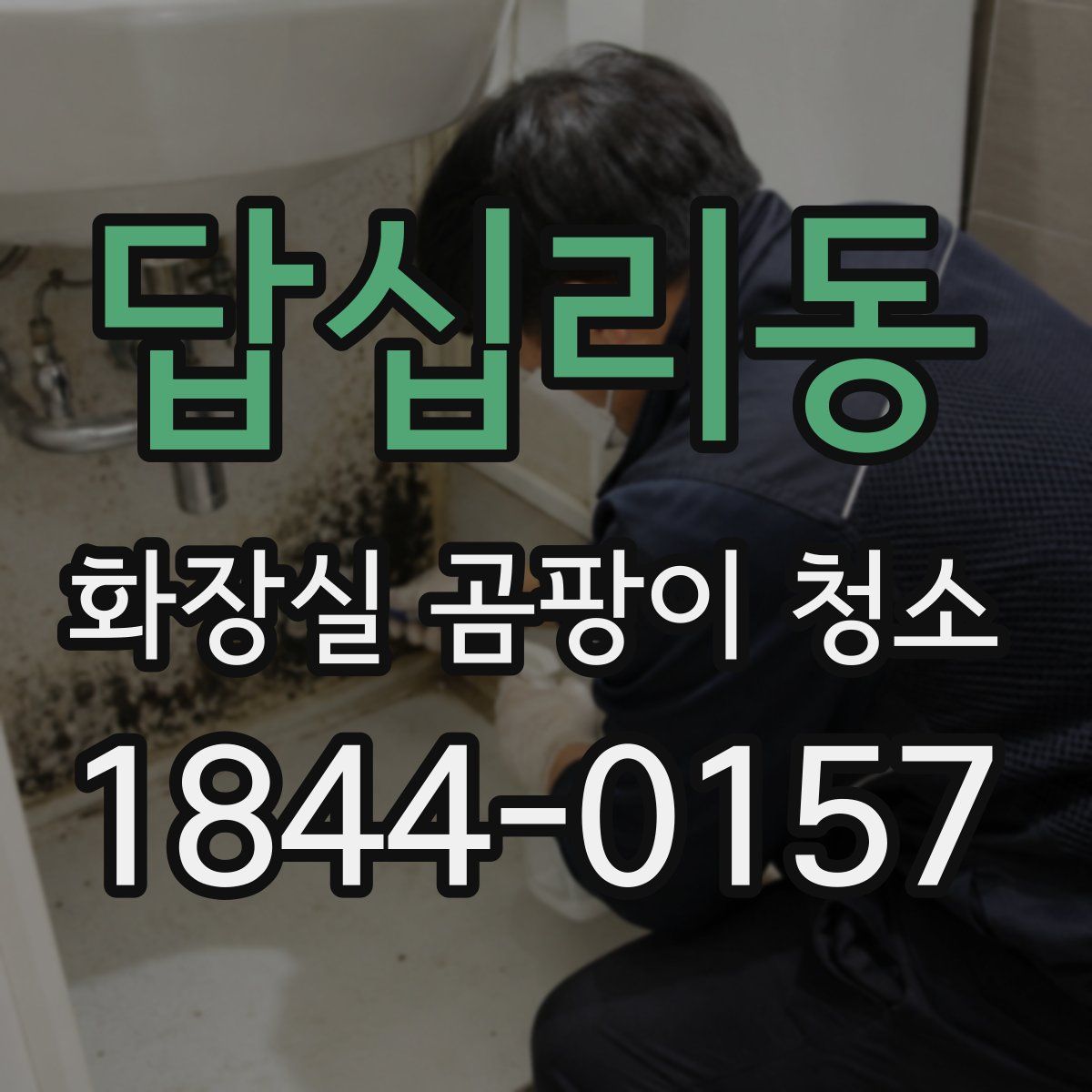 답십리동 화장실 곰팡이 청소