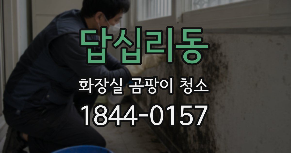 답십리동 화장실 곰팡이 청소