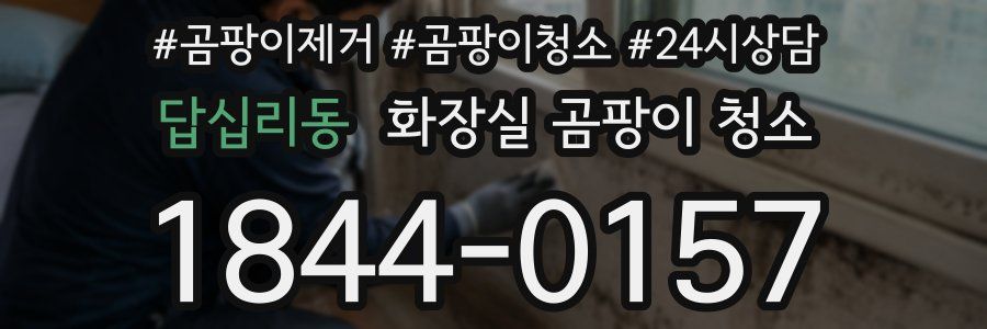 답십리동 화장실 곰팡이 청소