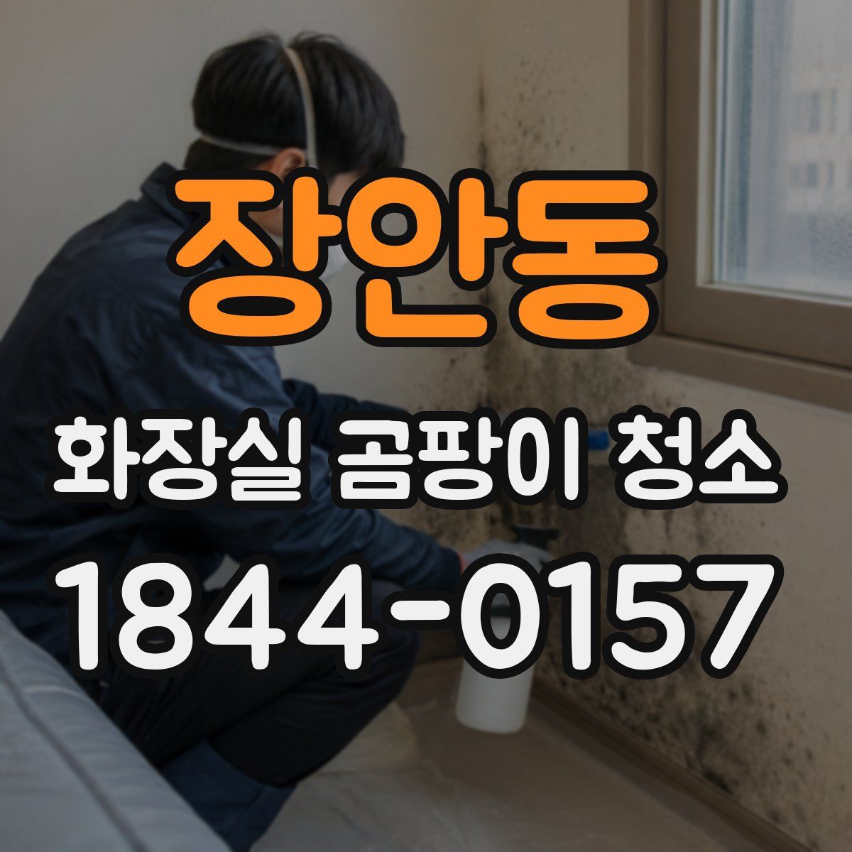 장안동 화장실 곰팡이 청소