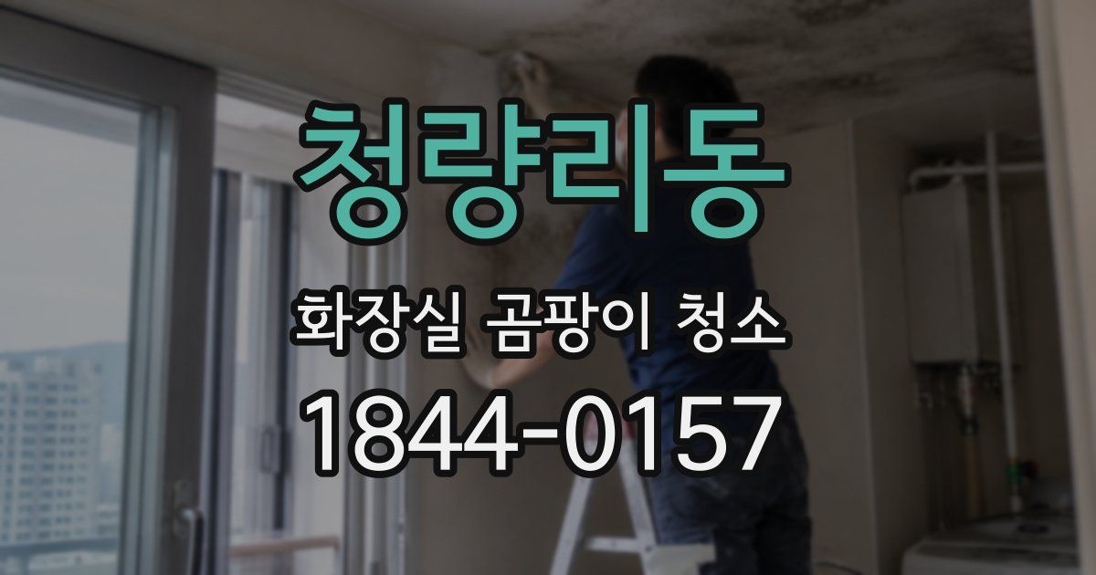 청량리동 화장실 곰팡이 청소