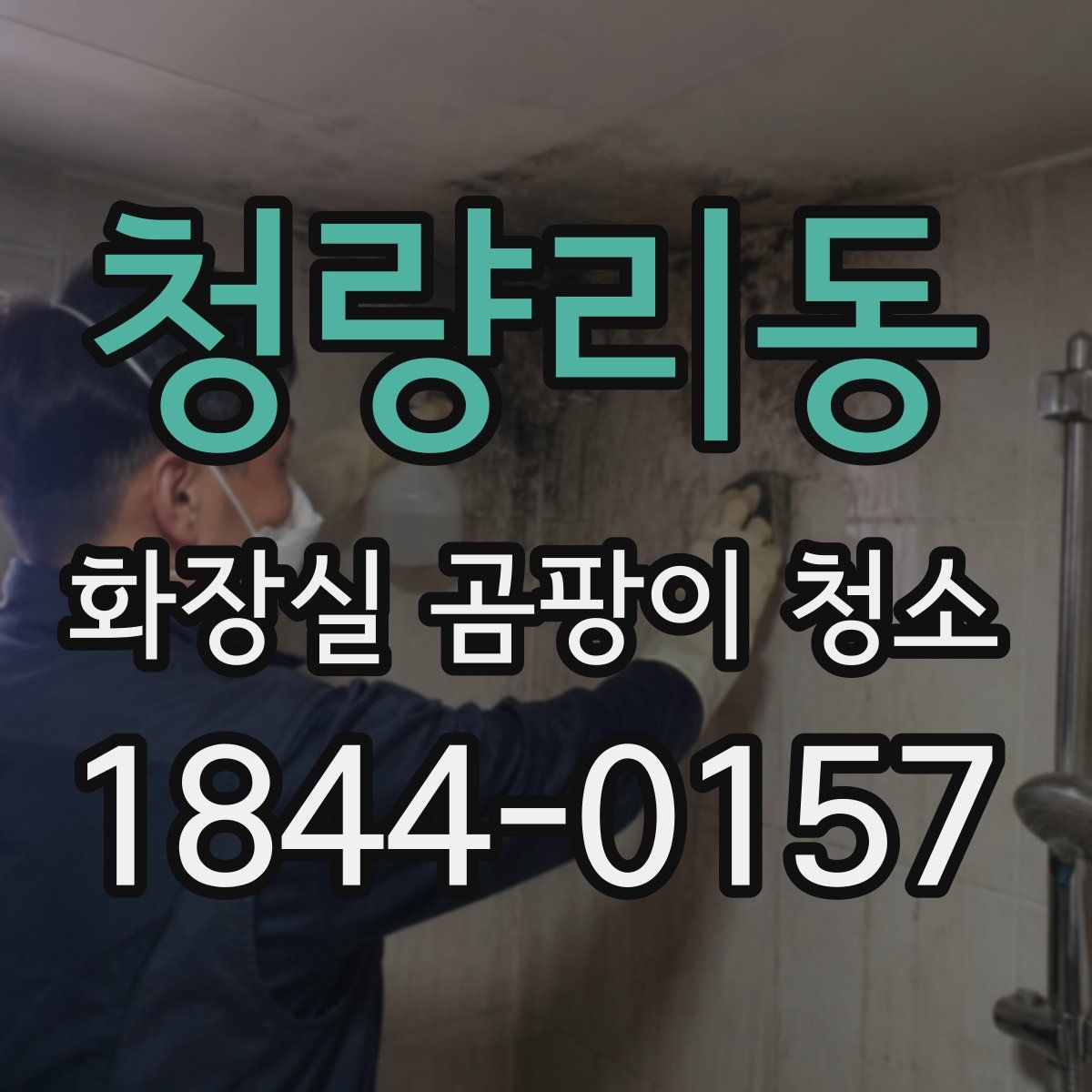 청량리동 화장실 곰팡이 청소