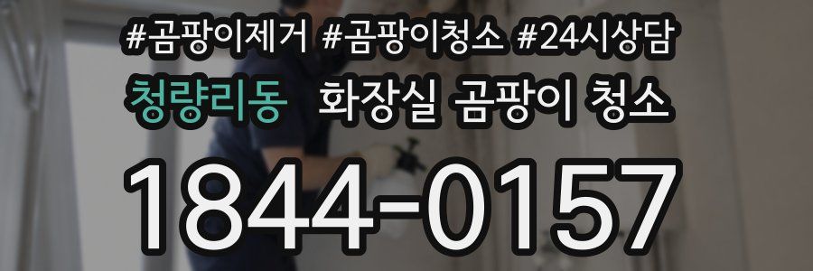 청량리동 화장실 곰팡이 청소