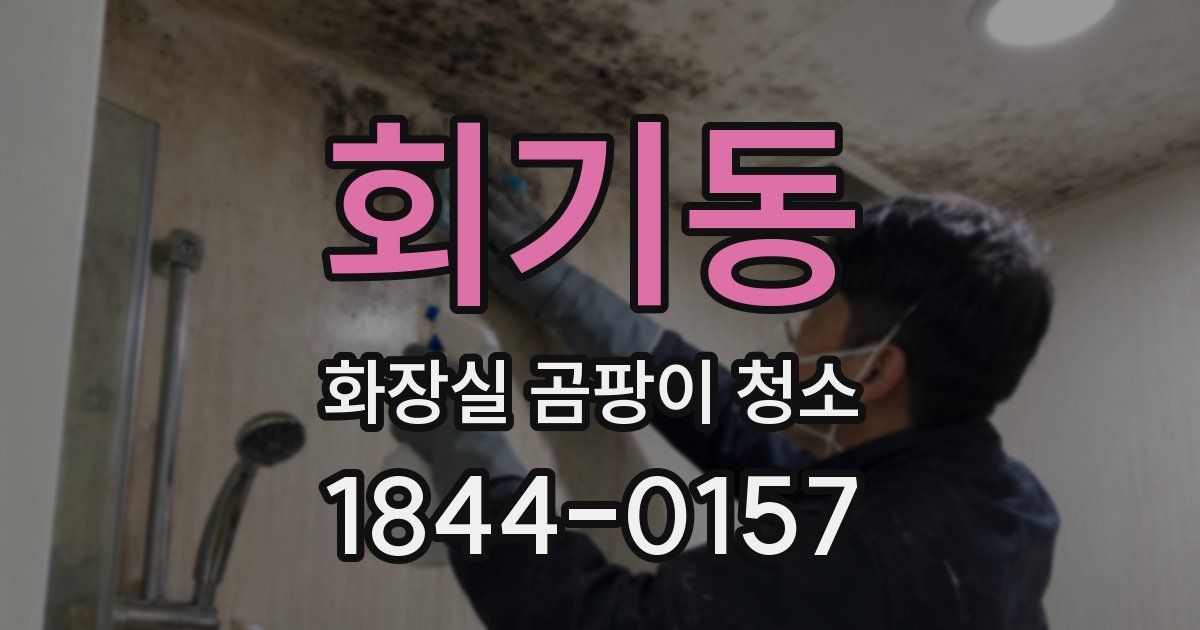 회기동 화장실 곰팡이 청소
