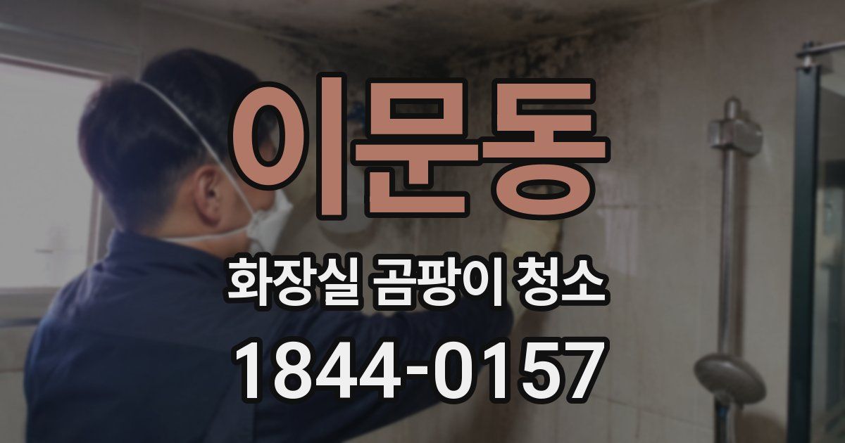이문동 화장실 곰팡이 청소
