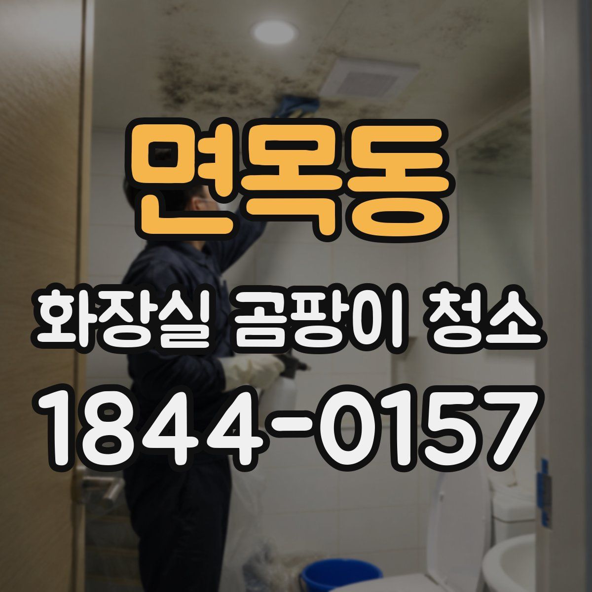 면목동 화장실 곰팡이 청소