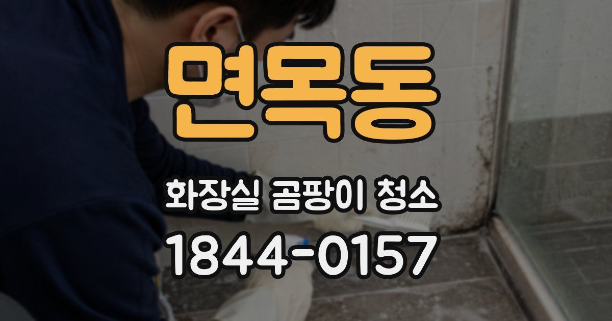 면목동 화장실 곰팡이 청소
