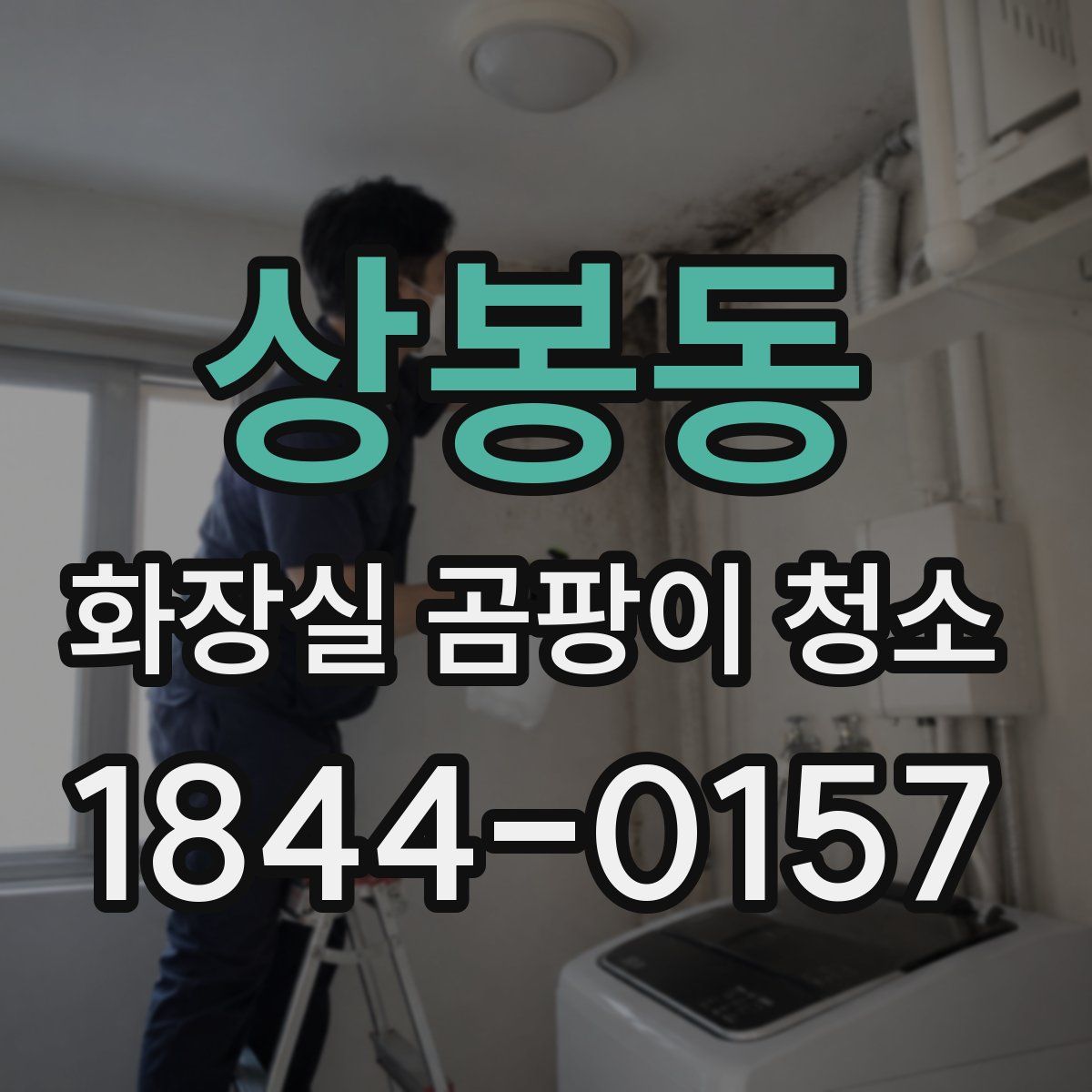 상봉동 화장실 곰팡이 청소