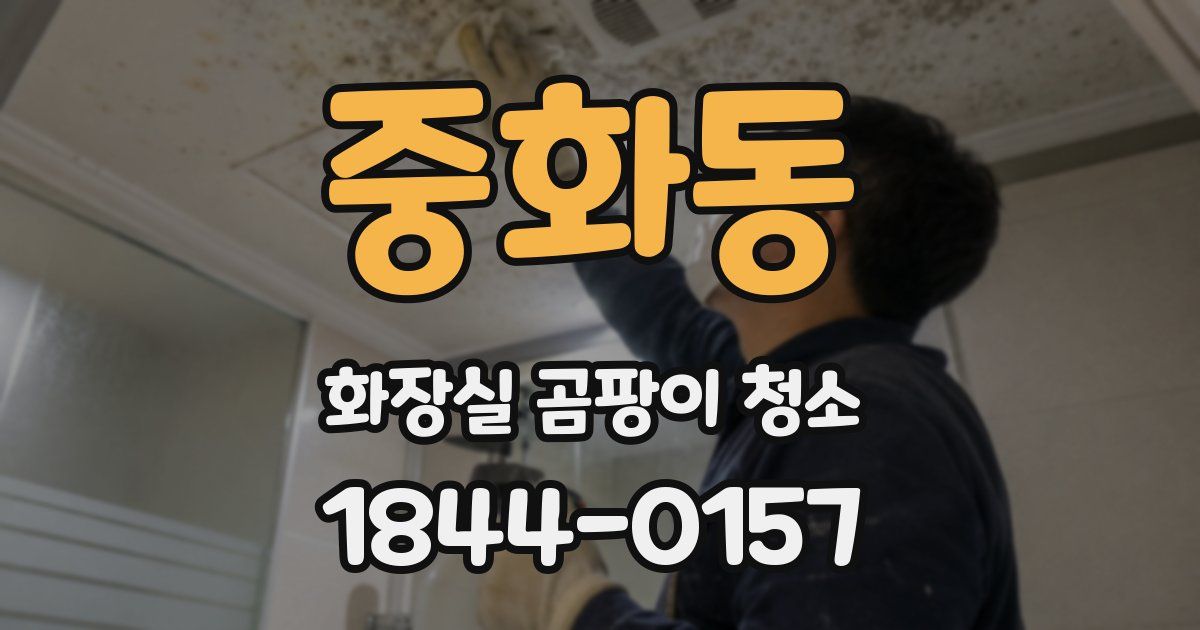 중화동 화장실 곰팡이 청소
