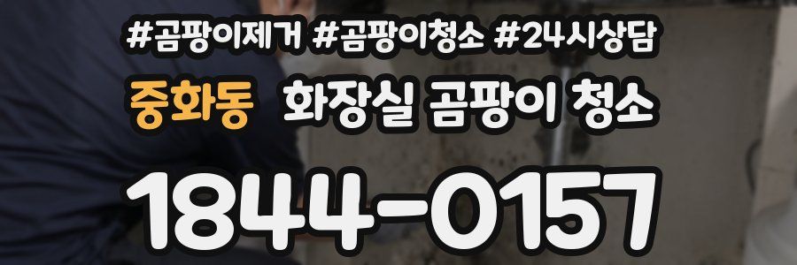 중화동 화장실 곰팡이 청소