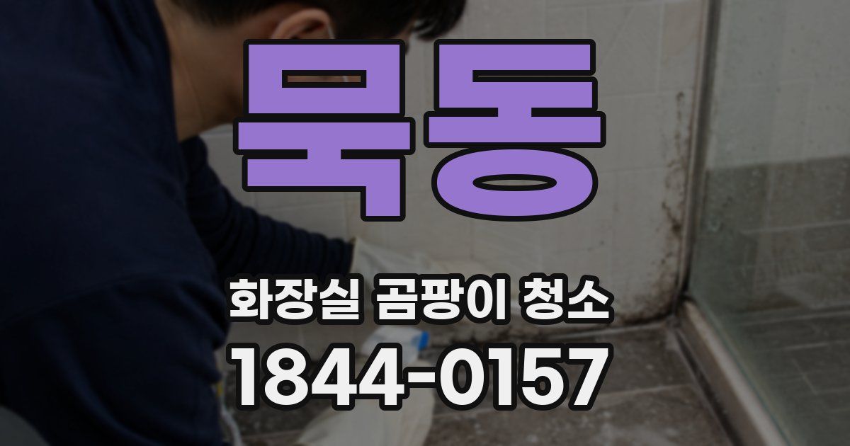 묵동 화장실 곰팡이 청소