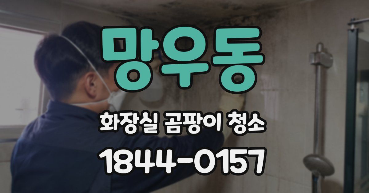 망우동 화장실 곰팡이 청소