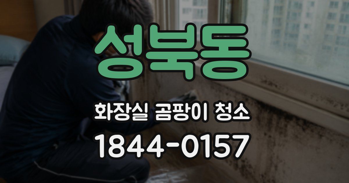 성북동 화장실 곰팡이 청소