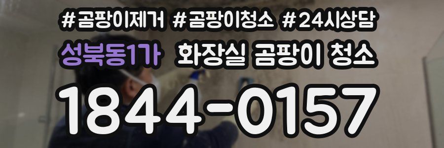 성북동1가 화장실 곰팡이 청소