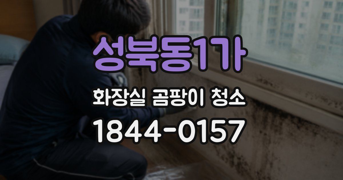 성북동1가 화장실 곰팡이 청소