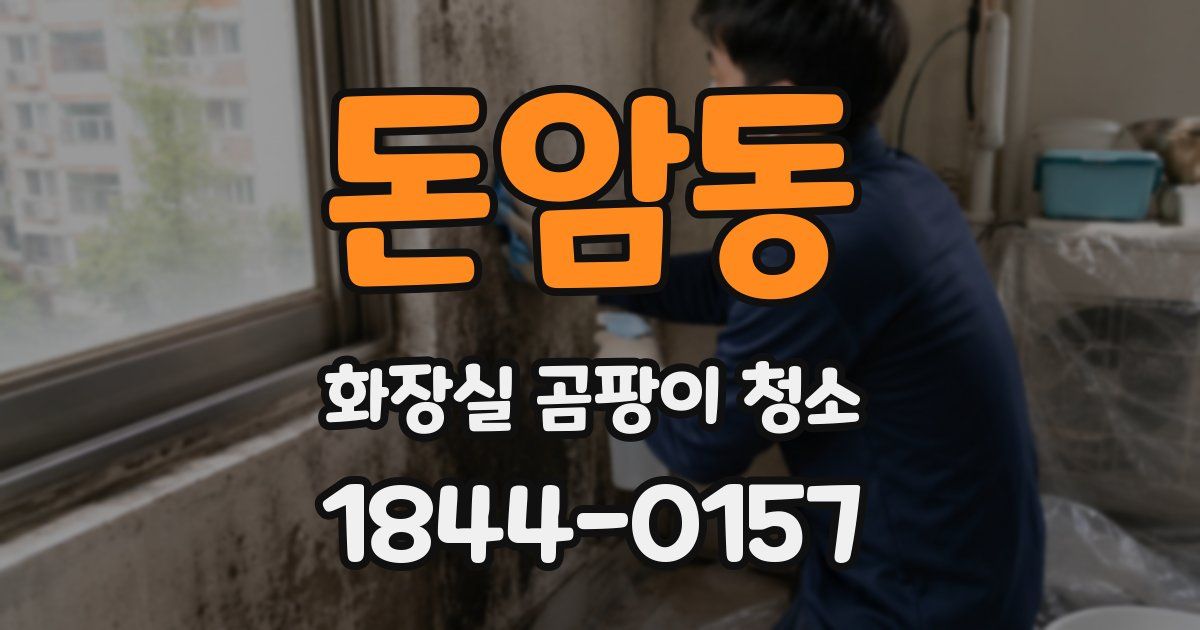 돈암동 화장실 곰팡이 청소