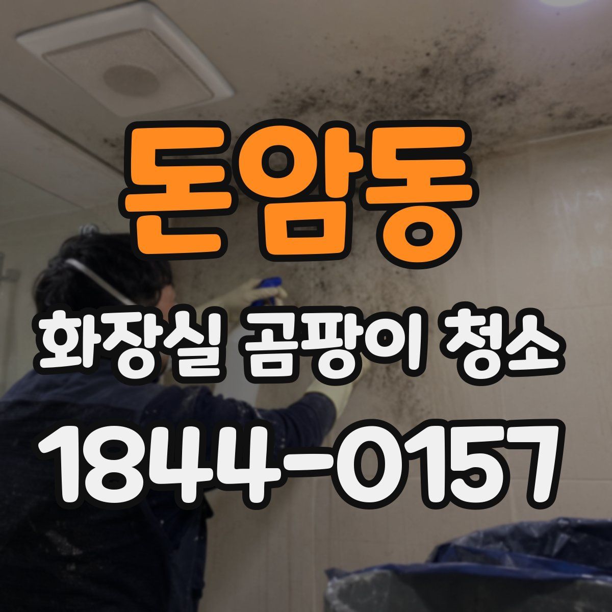 돈암동 화장실 곰팡이 청소