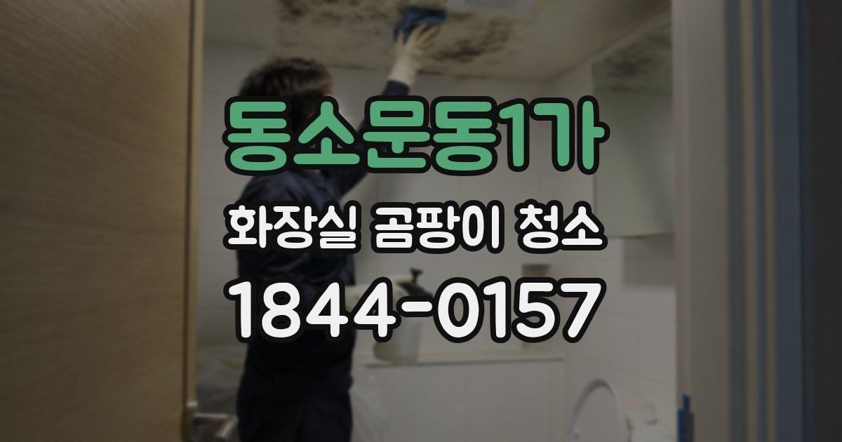 동소문동1가 화장실 곰팡이 청소