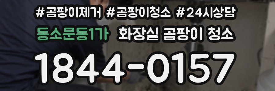 동소문동1가 화장실 곰팡이 청소