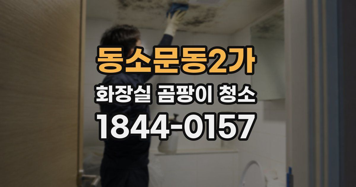 동소문동2가 화장실 곰팡이 청소