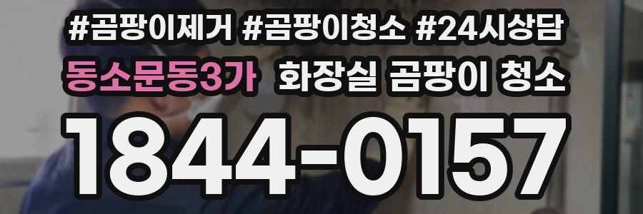 동소문동3가 화장실 곰팡이 청소