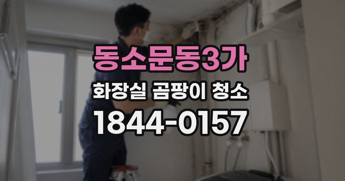 동소문동3가 화장실 곰팡이 청소