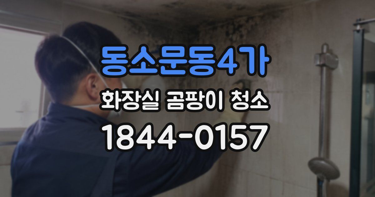 동소문동4가 화장실 곰팡이 청소